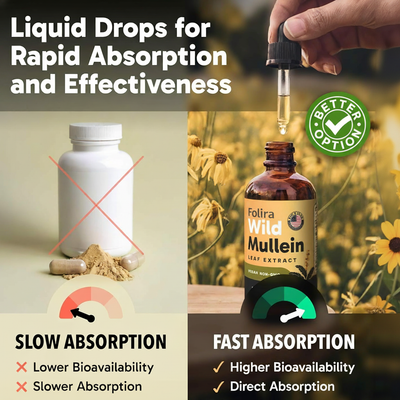 Folira ClearLung Mullein Drops